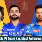 Which IPL team has most following fan