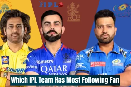Which IPL team has most following fan