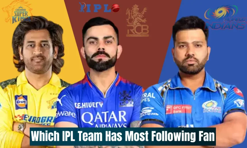Which IPL team has most following fan