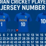 Indian Cricket Player's Jersey Number from 1 to 100
